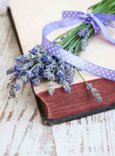 Preserving Herbalism Books From Centuries Past